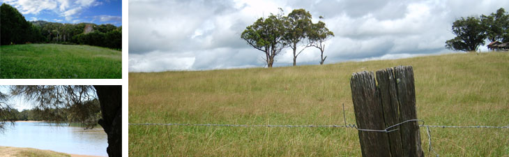 Integrity Land Development